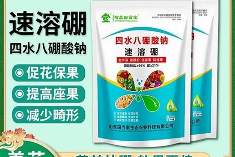 果树叶面肥用什么较好？