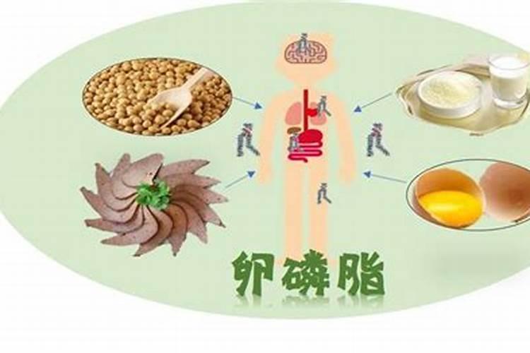 天然的磷钾肥有哪些