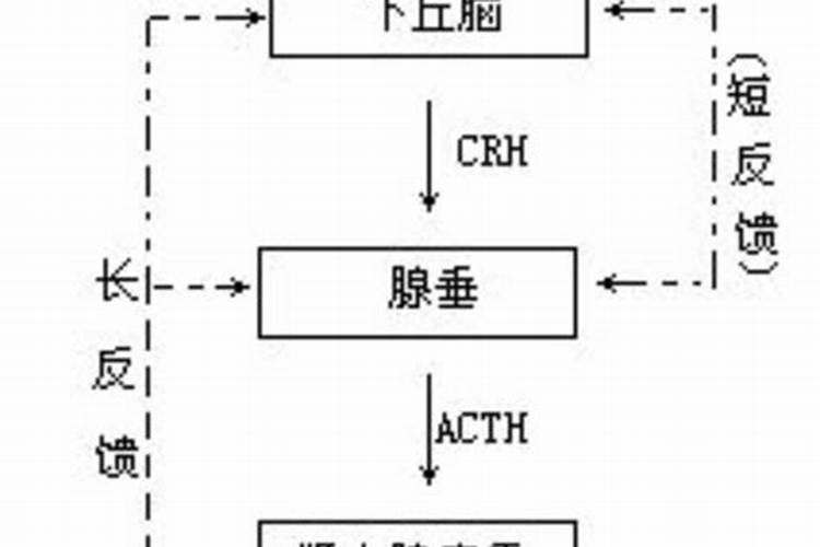 什么是磷肥 天然的磷钾肥有哪些