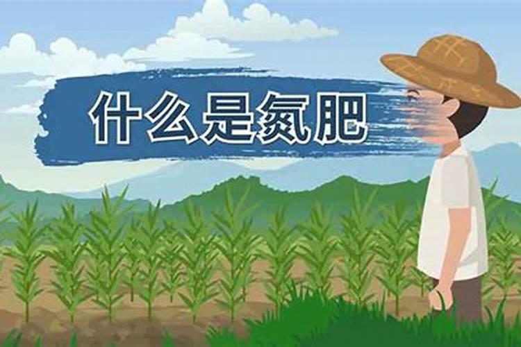 长寿花花谢后如何修剪,怎么处理