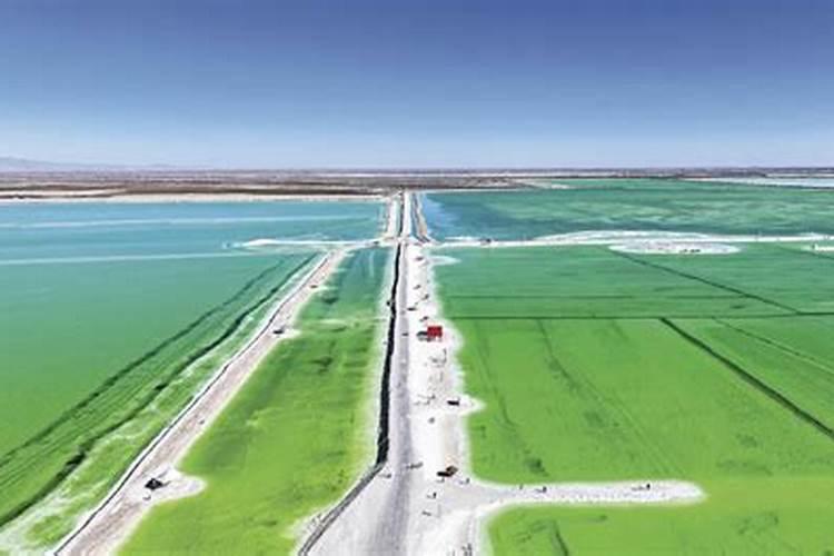 桃子膨果期怎么用肥产量高？桃树冲施钾肥使用沃根膨果钾宝