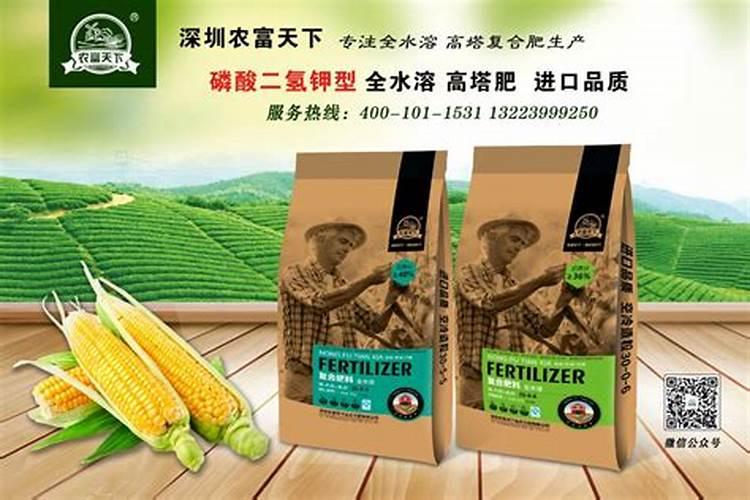 玉米肥料多少钱一袋？