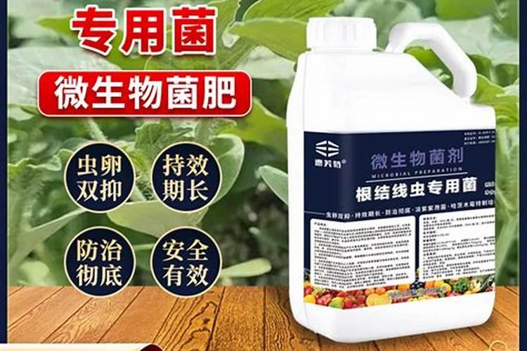 冲施肥哪个品牌好