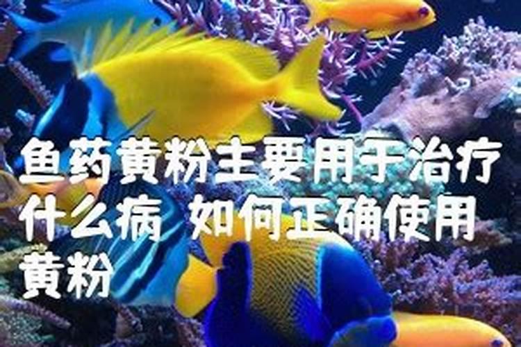 辣椒浇水时间怎么浇水 什么时候浇水好