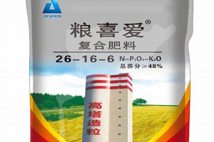 发财树浇什么肥料可枝叶旺盛