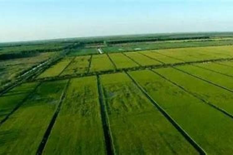 苹果树9月施钾肥好吗