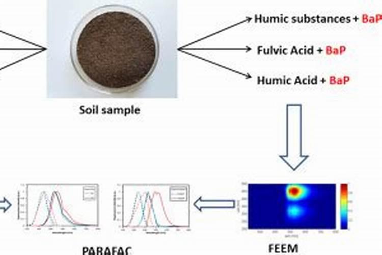 腐植酸钾在农资中属于哪一类