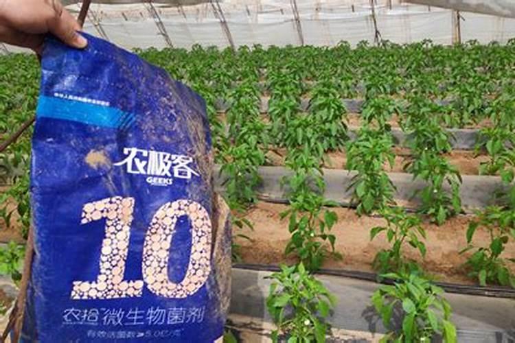 哪些自制有机肥长期放置不失效