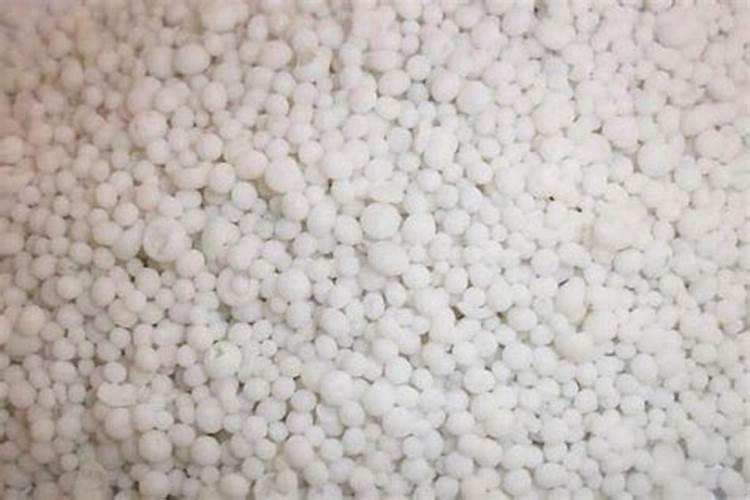 海藻肥含有什么元素