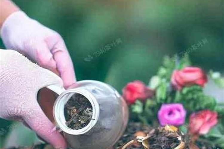 树叶落地后能作为肥料,为什么？