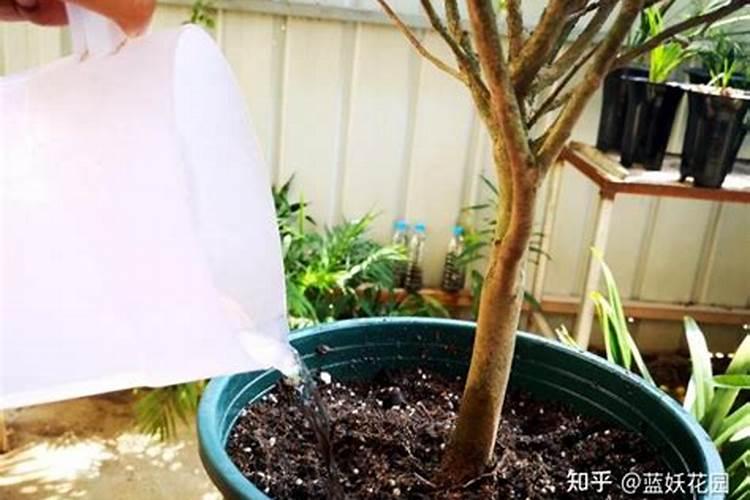 氧化钾是钾肥吗？和氯化钾和硫酸钾有什么区别？