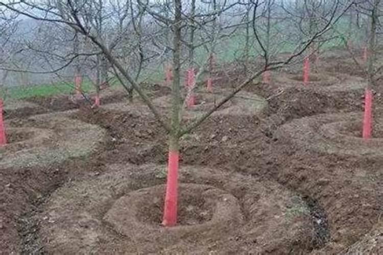 宜春哪些有名的茶叶品牌值得选购？