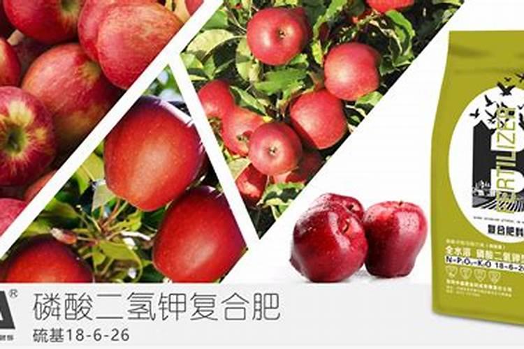 苹果树开春应该怎么施肥,打药？