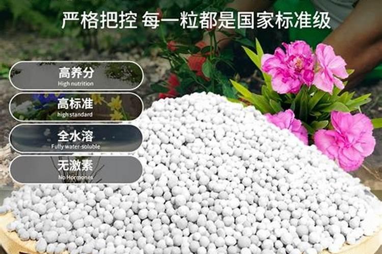 水溶肥厂家,你还不知道它？