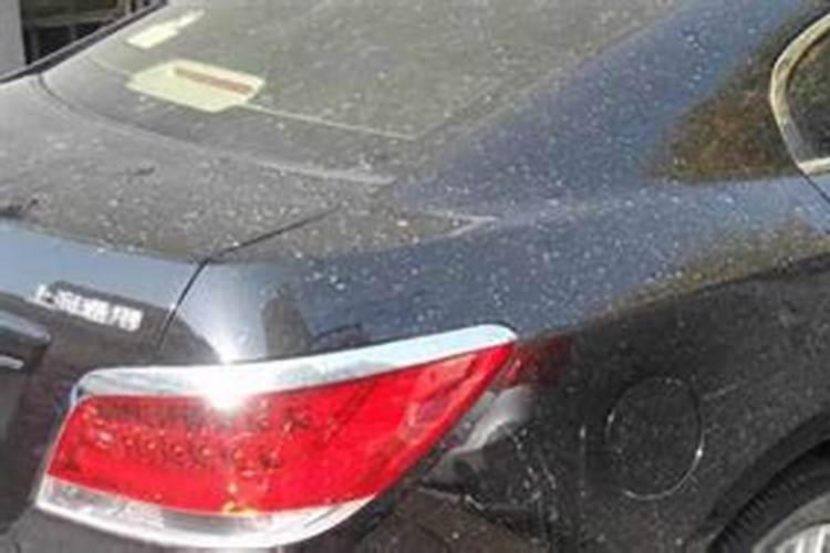 市面上有的硅肥怎么那么便宜呢是什么原因呢