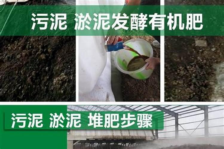 生鱼头可以直接埋在黄瓜地下吗？