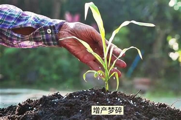 世界上十大名牌肥料排名