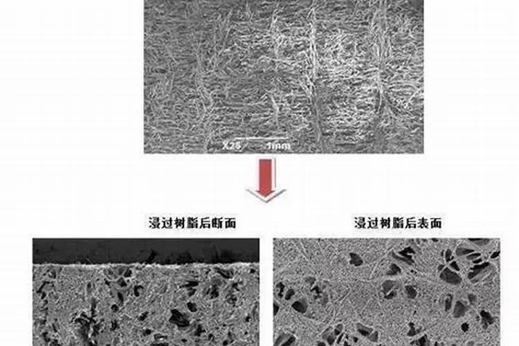 种小麦底肥哪种最好