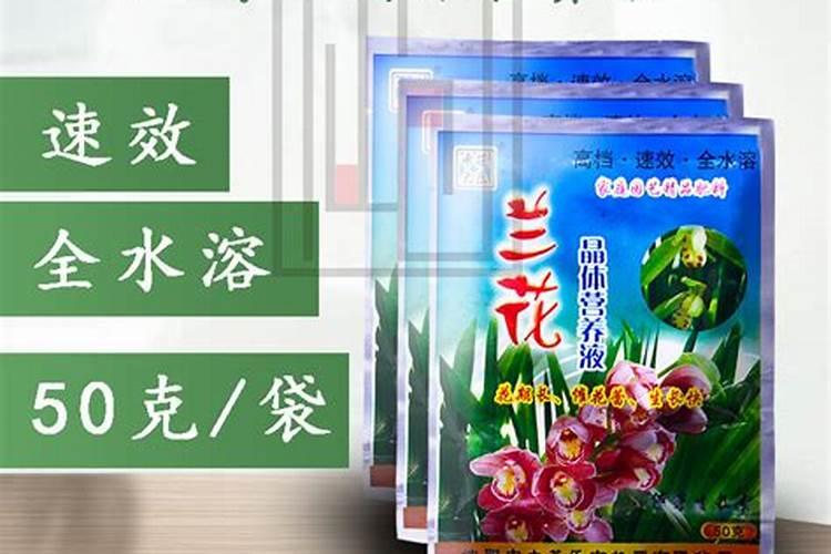 怎样给有花苞的杜鹃施肥