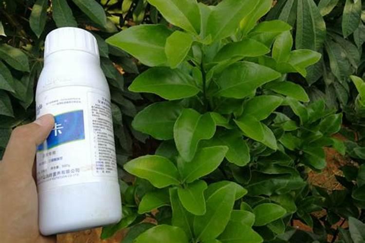 含氨基酸植物vc叶面肥有哪几个品牌