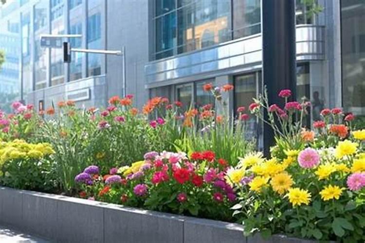 国槐施什么肥最好