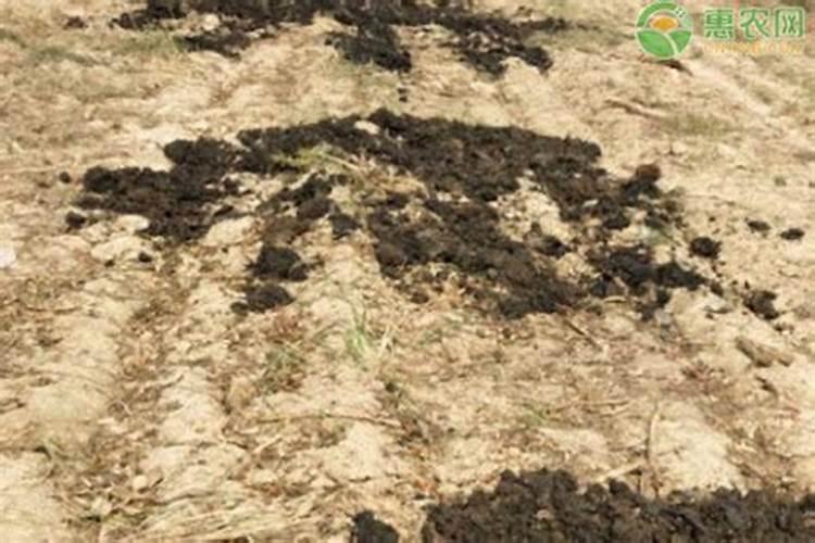 西红柿施肥之锌肥