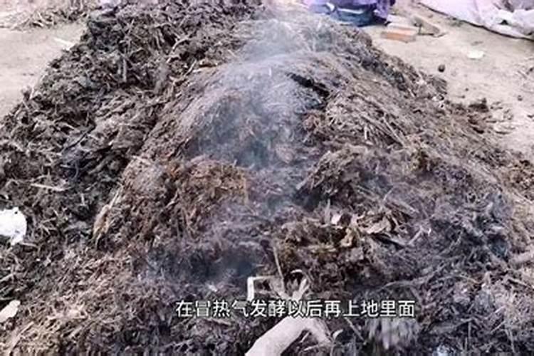 有机肥的腐熟是什么意思