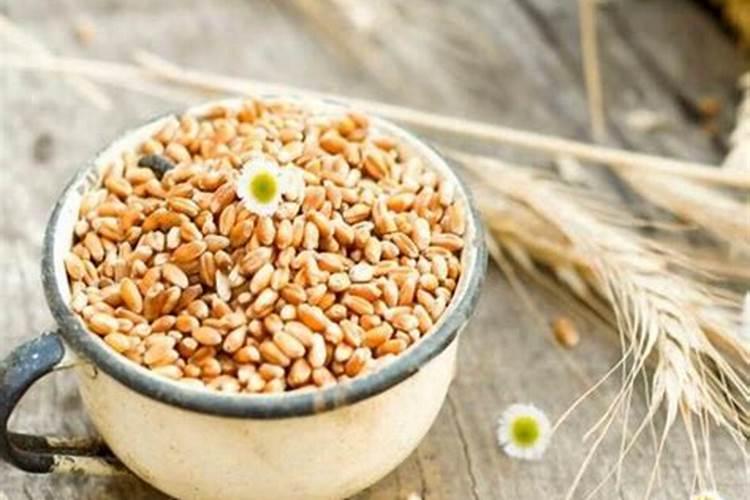 芸苔素拌种用量是多少