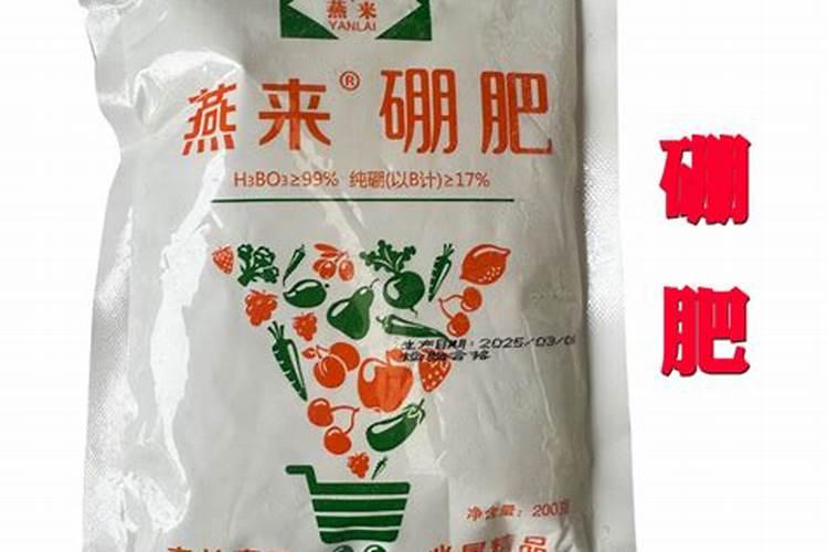 什么季节适合喝龙井