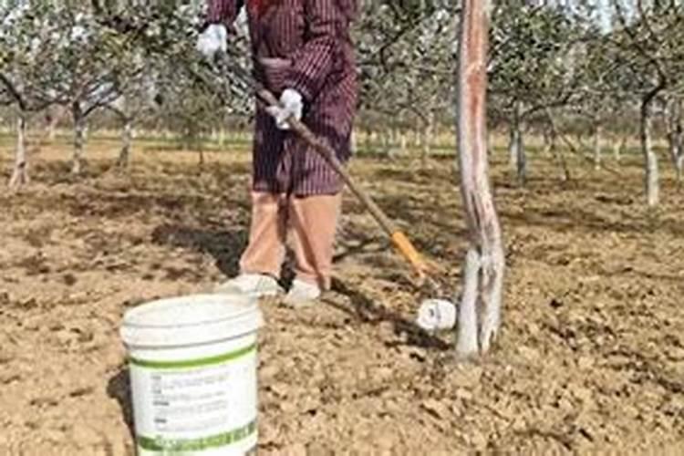 含氯的肥料不适合哪些作物