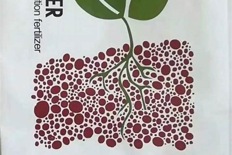 F1车手档案,加斯利,敢与命运叫板的男人