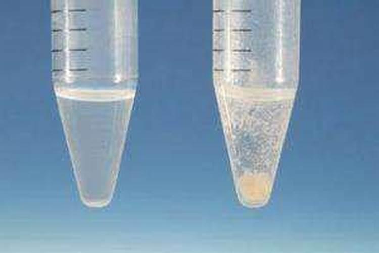 钾肥和钙肥可以混用吗