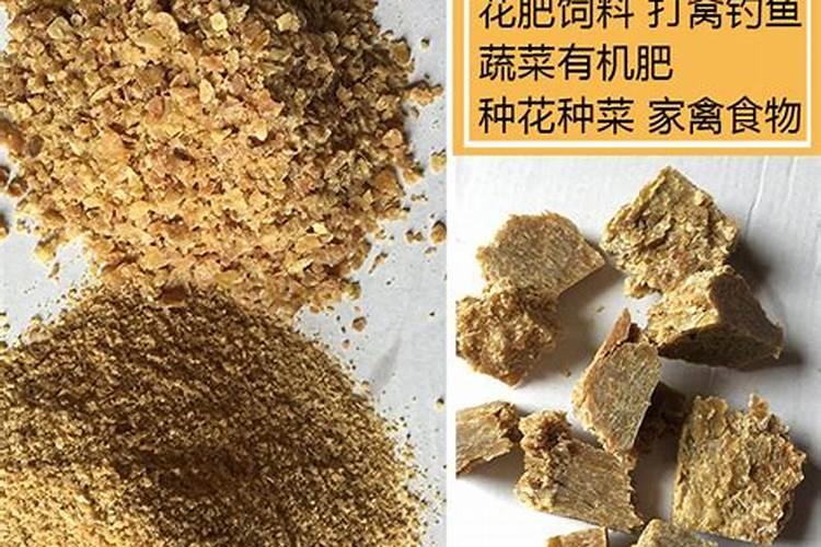 豆饼和黄豆哪个营养价值更高