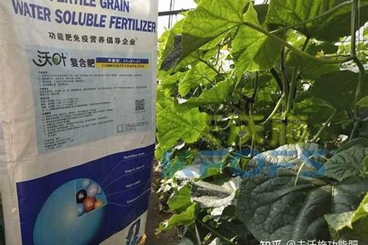 青岛嘉盛生物科技有限公司怎么样？