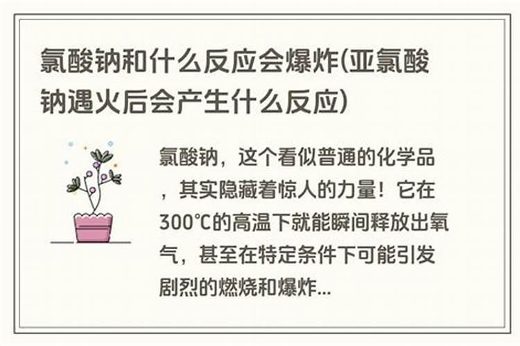 盆栽海椒开花后就掉不接果是什么原因