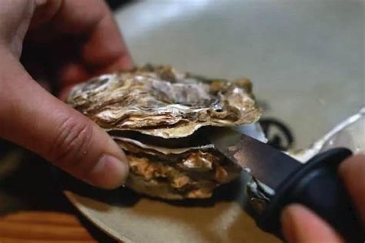 生蚝的壳可以做肥料吗