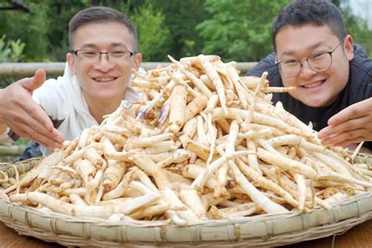 金钱树怎么浇水施肥