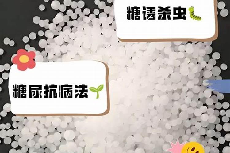 波尔多液几款混配秘方!效果真是绝了!