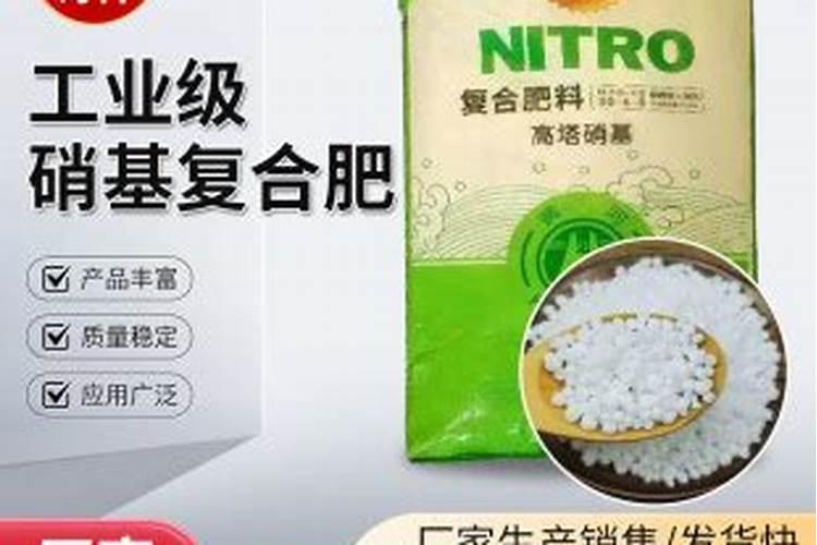 树仔菜什么地方适合种植