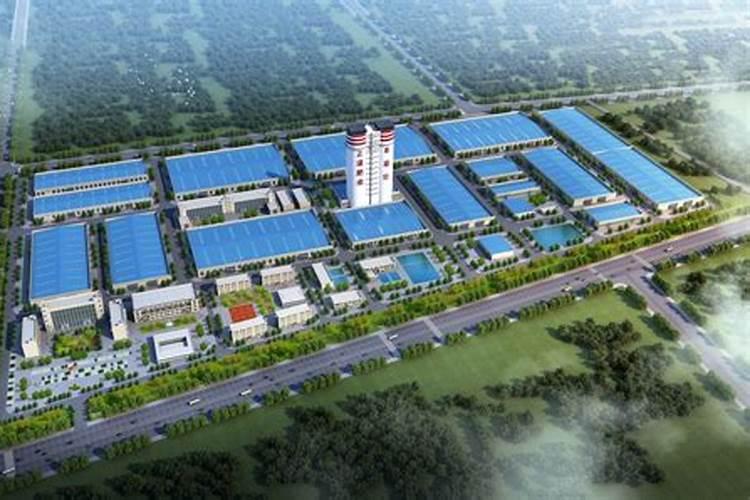 红心苹果树苗价格多少钱一棵？红心苹果树苗种植技术方法