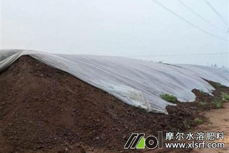 如何安全合理施用钾肥