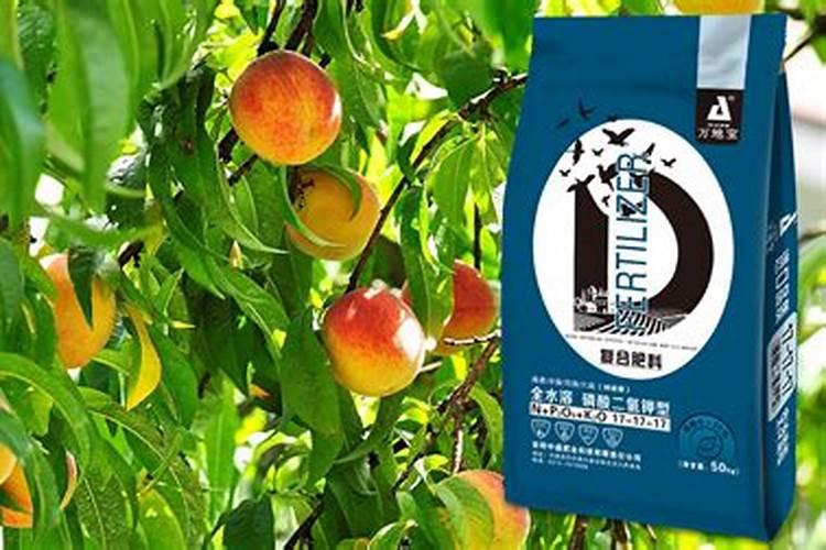 3年桃树2月初施什么肥好？
