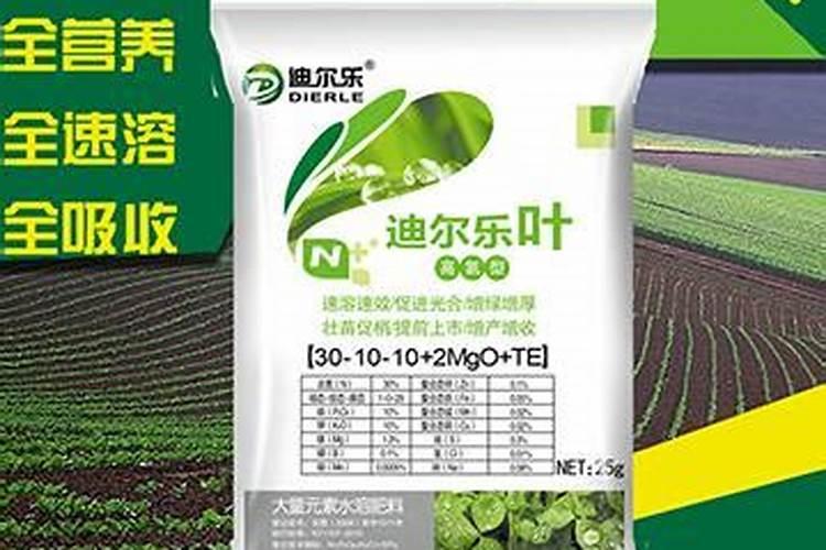 红木香叶子卷曲不生花苞？