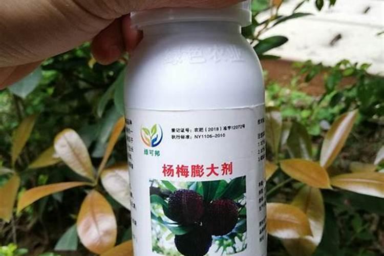 叶面肥2.5公斤一袋装价格表