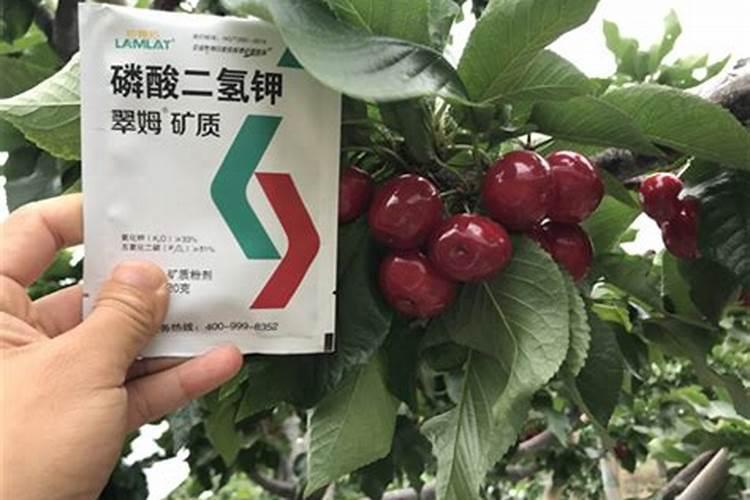 农用钙肥十大品牌