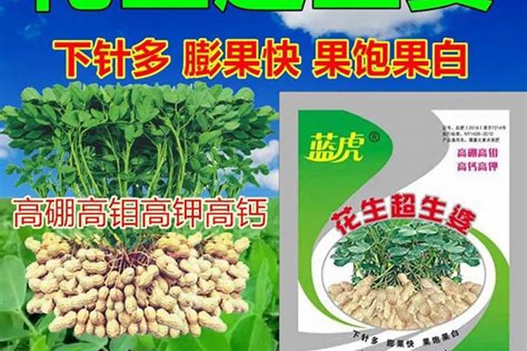 如何使用叶面肥,记牢哪几个时间点,你知道吗？