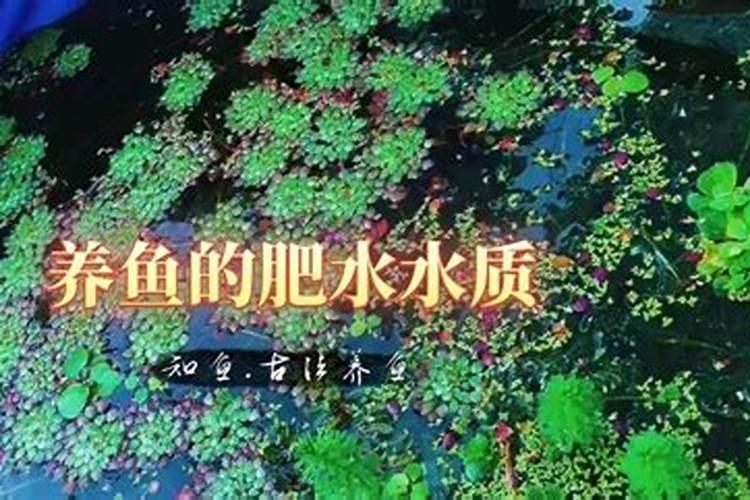 1斤水溶肥按300倍液配兑多少水