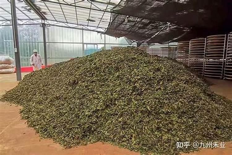 干茶叶怎样做花肥料