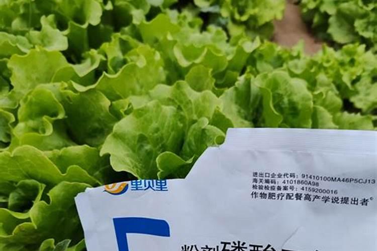 【苏菜】淮扬名菜大煮干丝