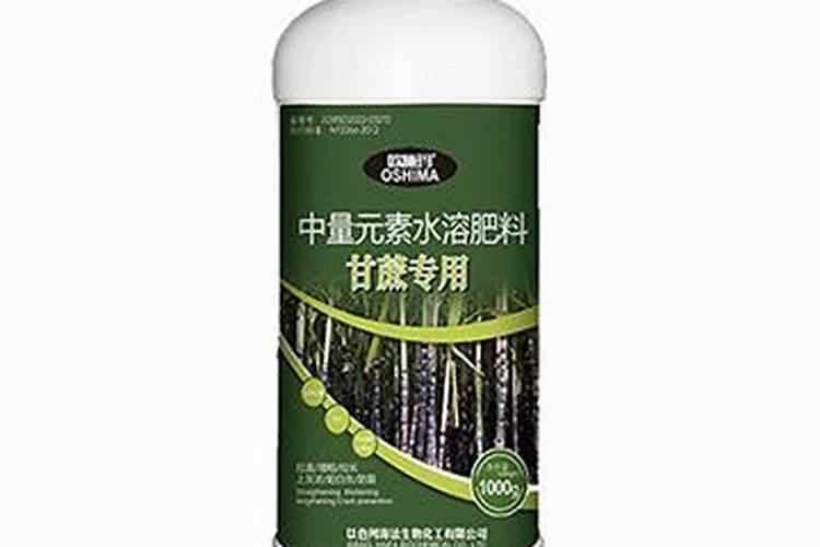 黄甘蔗种植怎么施肥浇水